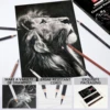 Professional Colored Charcoal Pencils Drawing Set,12 Pieces Pastel Chalk Pencils for Sketching, Shading, Blending, Portrait, Bl 5