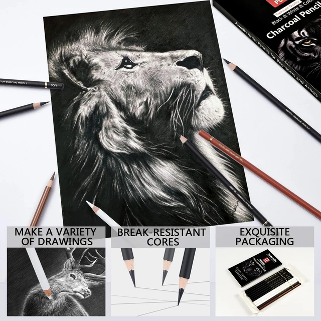 Professional Colored Charcoal Pencils Drawing Set,12 Pieces Pastel Chalk Pencils for Sketching, Shading, Blending, Portrait, Bl 5