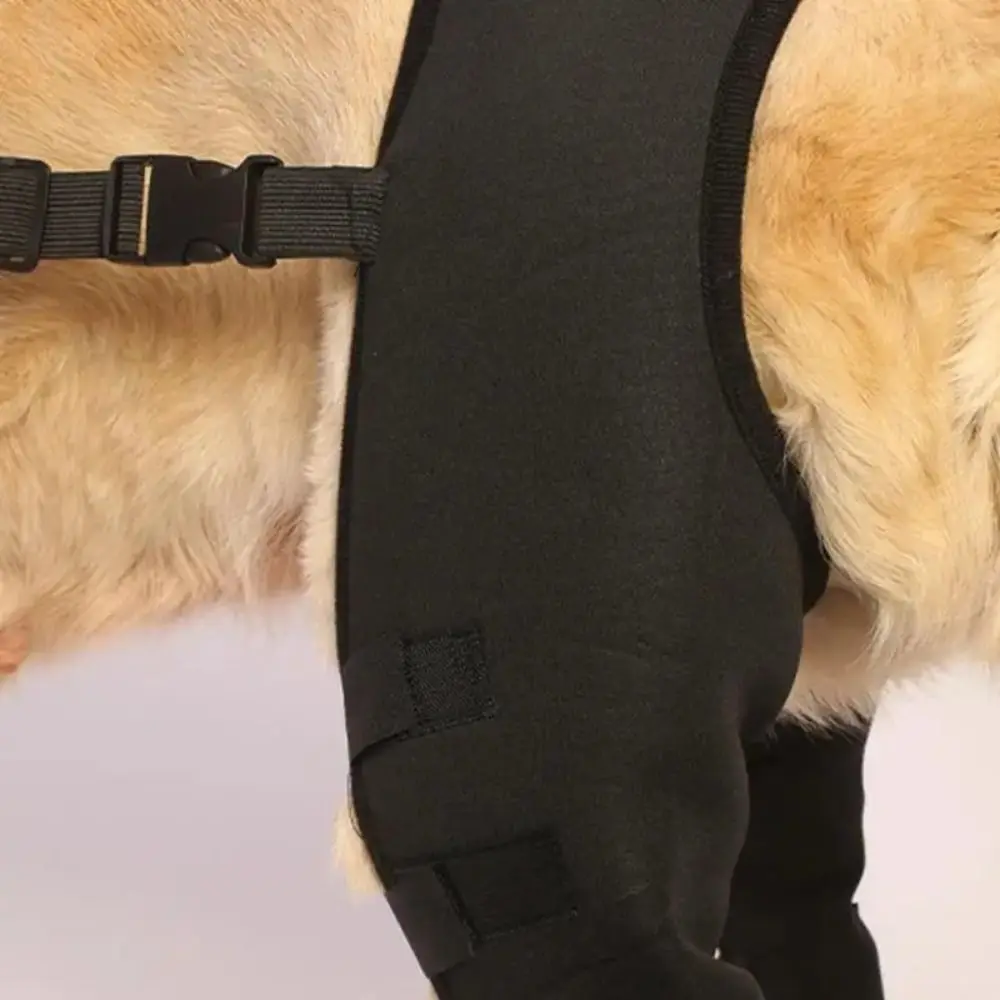Dog leg support brace image 7