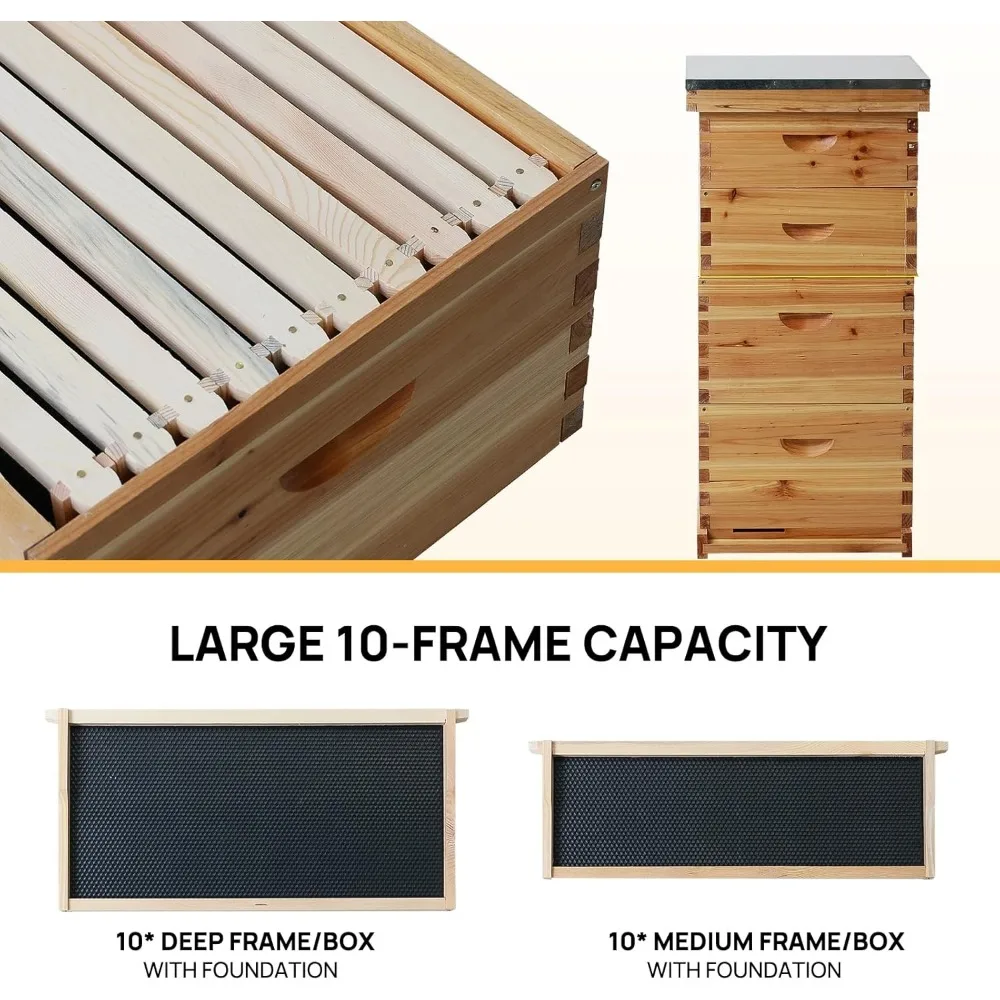 10-Frame Langstroth Bee Hive Coated with 100% Beeswax Includes Beehive Frames and Foundations (2 Deep Boxes & 2 Medium Boxes) 3