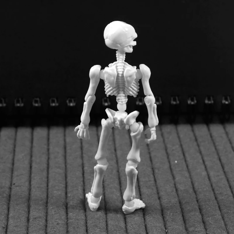 シミュレートされたフィギュア,人工頭蓋骨の骨格,可動式シニア骨