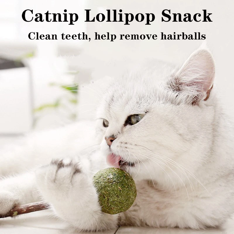 

Леденец С Кошачьей Мятой, закуска, мятные конфеты, палочки, натуральные вещи для кошек, чистящие зубы, товары для кошек, Аксессуары для кошек