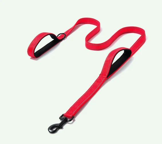 double handle dog leashes
