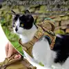 Outdoor Tactical Cat Harness For Walking Escape Proof Adjustable Waterproof Pet Harness Soft Mesh Vest For Large Cat Small Dog 5