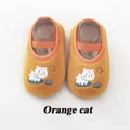 Orange cat