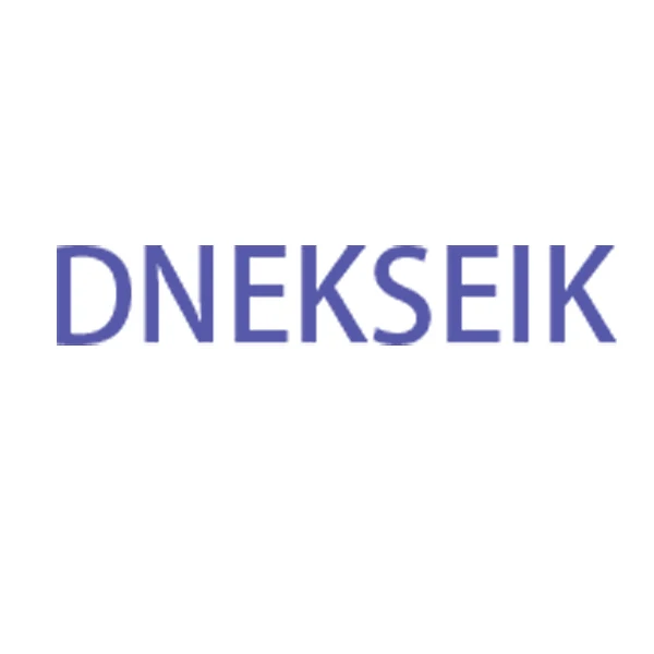 DNEKSEIK Store