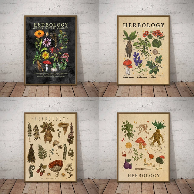 Herbologia Plantas Ilustração Cartaz, Impressão De Raiz De Mandrake, Pintura  De Lona, Decoração De Bruxa De