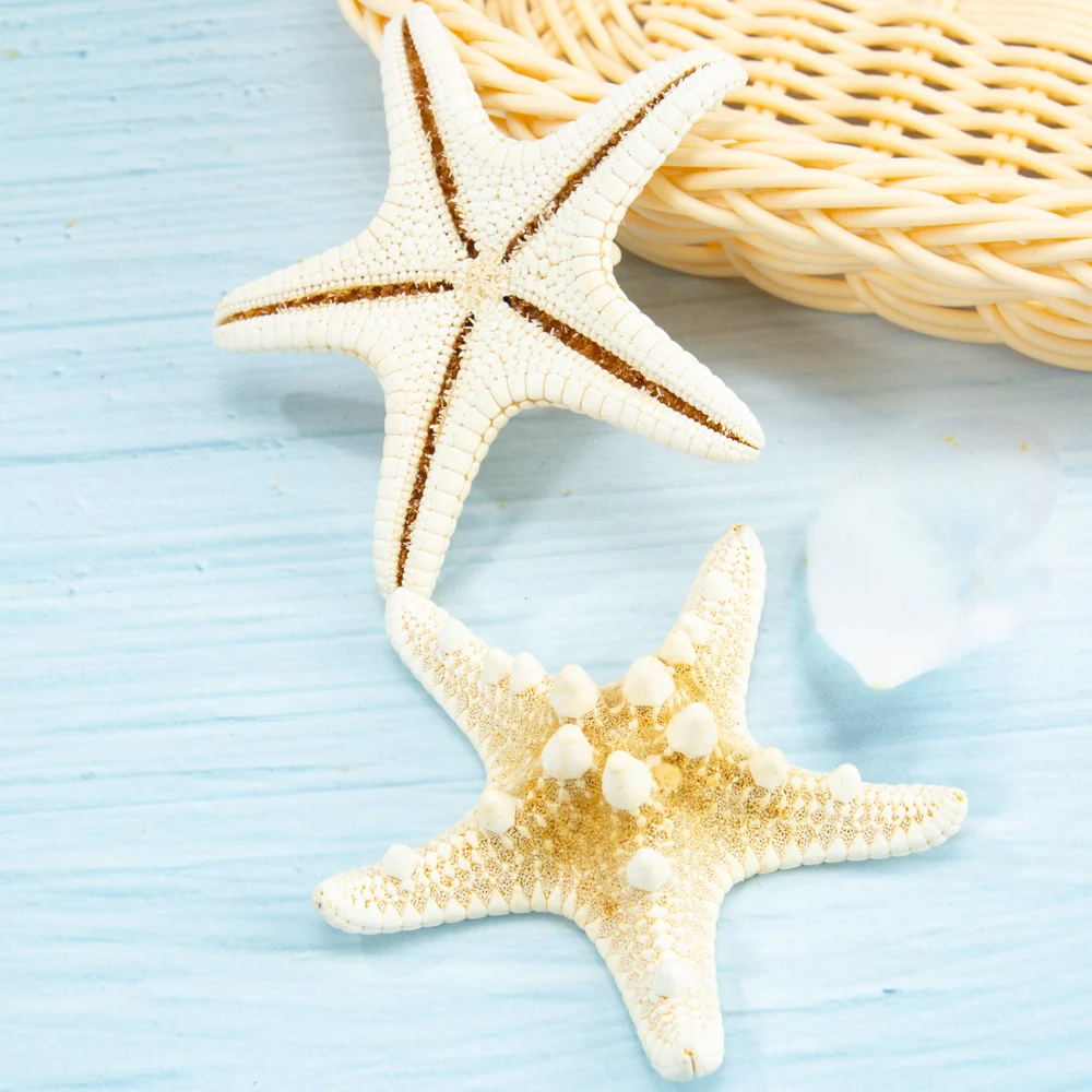 Real Finger Starfish Natural Sea Stars Shells Beach Nautical Decor Aquarium 