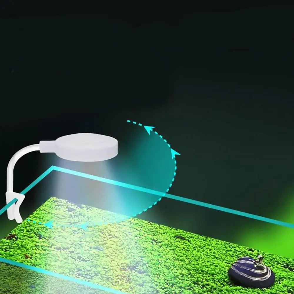 USB-Plug Aquarium Mini Lamp LED Fish Tank Colored Lights Accessories Fishbowl Landscaping Reptile Animals Crap Goldfish Turtle 2