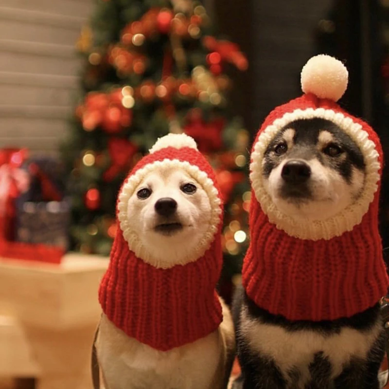 

Warm Winter Hat for Cats and Dogs, Pet Accessories, Small, Medium, Large, Dress Up Supplies