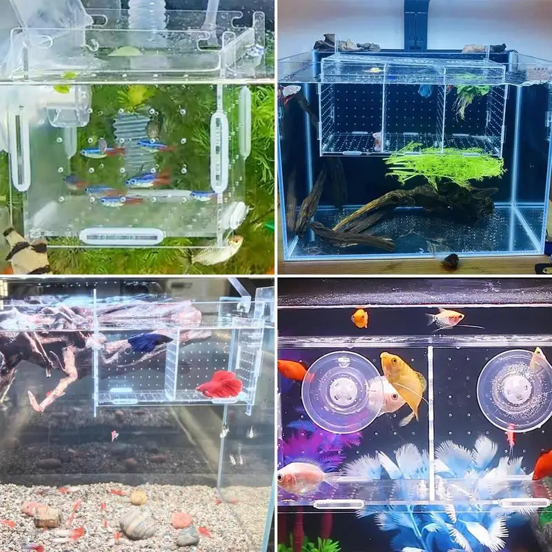 Fish Breeder Box Aquarium Acrylic Clear Breeder Box Hook Multifunctional Non Slip Aquarium Incubator Suction Cup
