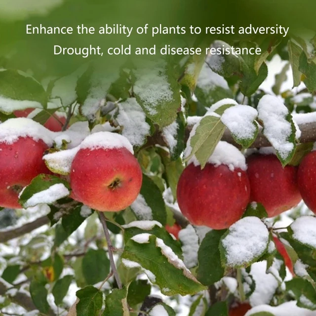 200G Talaj Aktivátor Növényi Gyümölcsök Termesztése Ásványi Forrás Megakadályozza A Keményedést - Image 4