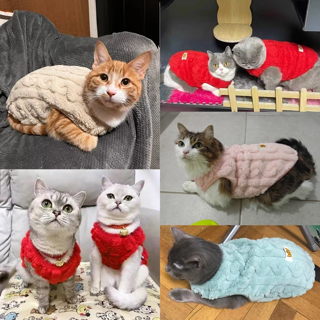 Cute Warm Cat Clothes Autumn Winter Fleece Sweater For Small Cats Dog Apparel Kitten Puppy Pullover Pet Sphynx Christmas Costume 5