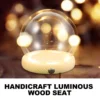 Glowing Wooden Base Eternal Flower Glass Dome Display Case Transparent Dustproof Cover Home Decor Vases Fine Workmanship 2