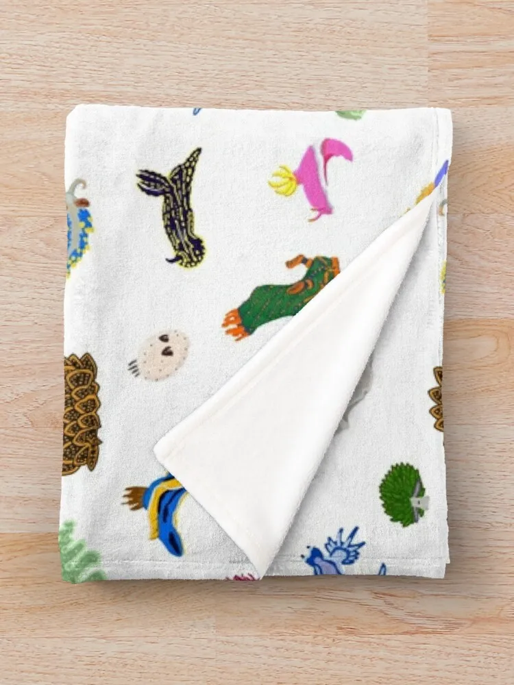 Nudibranchs ������ ���, ǫ���� �ε巯�� ���, �ҷ��� ��� ������ ���� ���