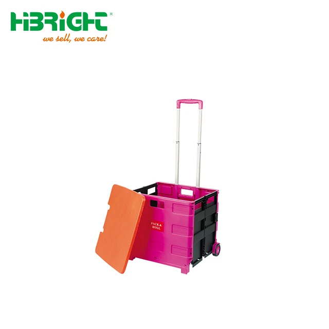 Carro Plegable Plastic Folding Shopping Cart