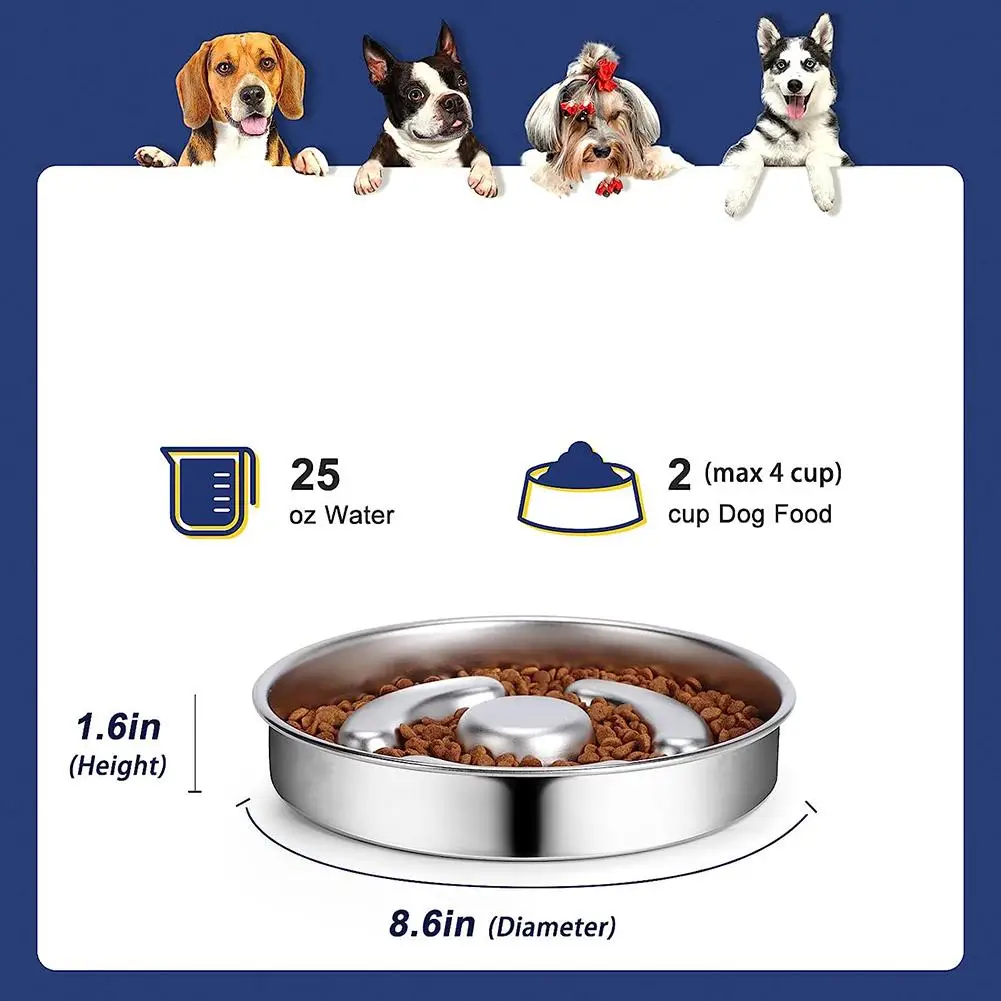 �ݷ����� ���ο� �Ǵ� ������ �׸�, �̲��� ���� �����θ��� ��ƿ ���� �� �׸�, ���� ���� �����߿� IQ �Ʒ� �峭��