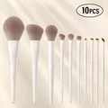 10pcs