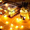 Small ball LED lamp 3 M 20 lamp usb warm color
