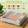36 Egg Incubator for Hatching Eggs withAuto Turn, Temp & Humidity Control, Built-in CandleLarge Capacity Egg Incubator for Chic