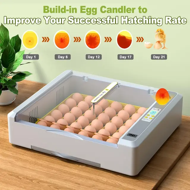 36 Egg Incubator for Hatching Eggs withAuto Turn, Temp & Humidity Control, Built-in CandleLarge Capacity Egg Incubator for Chic
