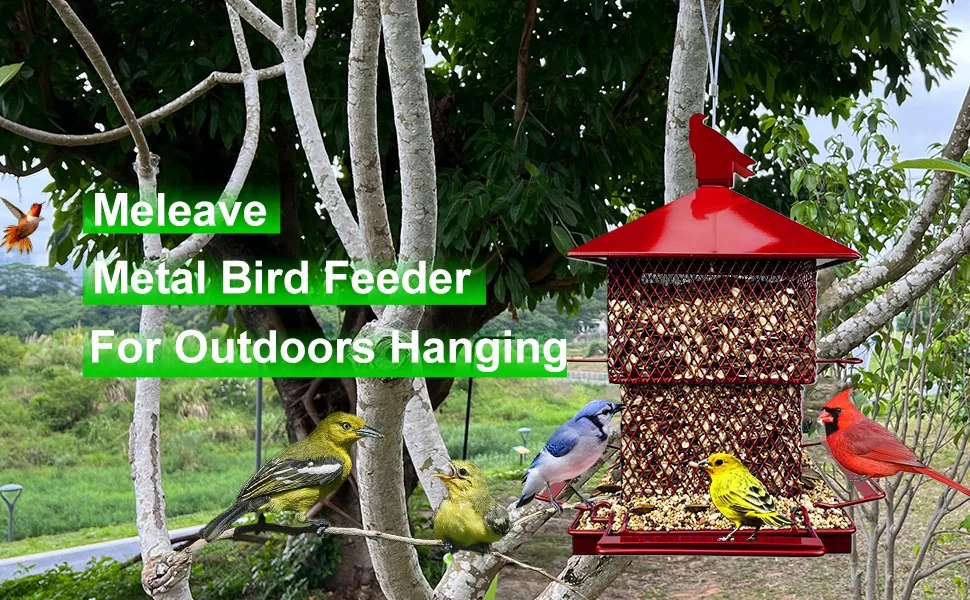 red bird feeder