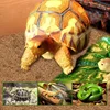 Natural Coco Fiber Pet Coir Mat Coconut Fiber Reptile Carpet for Lizards Turtles Snakes Iguana, Gecko, Bearded Dragon, Tortoises 3