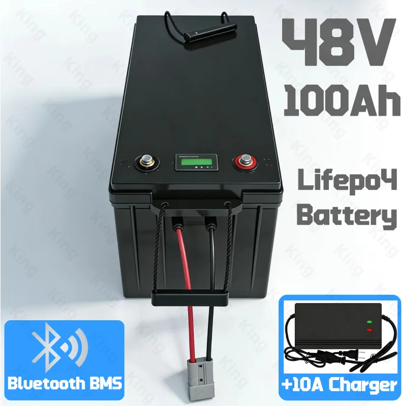 Batterie LiFePO4 48 V 100 Ah de haute qualité avec Bluetooth