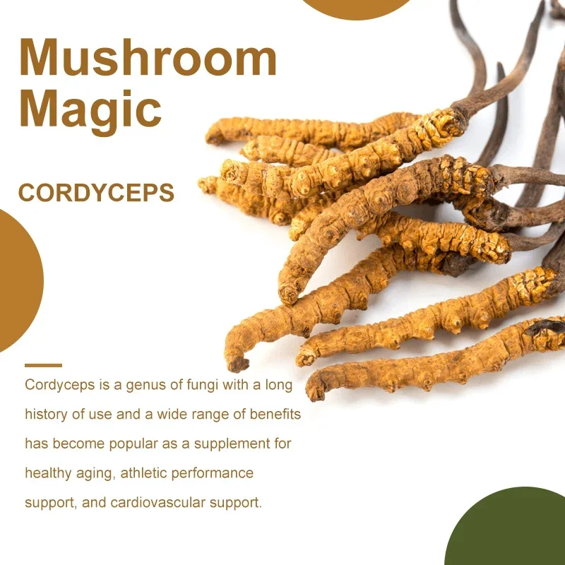 Cordyceps Capsules 1000mg-Helps with Energy, Natural Endurance, Immune & Cardiovascular Health