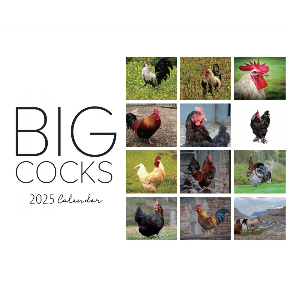 Wall calendar paper wall calendar Big Cocks Calendar Vibrant Wildlife Photography 12-Month Wall Calendar for Office & Home Decor Animal Enthusiasts Paper