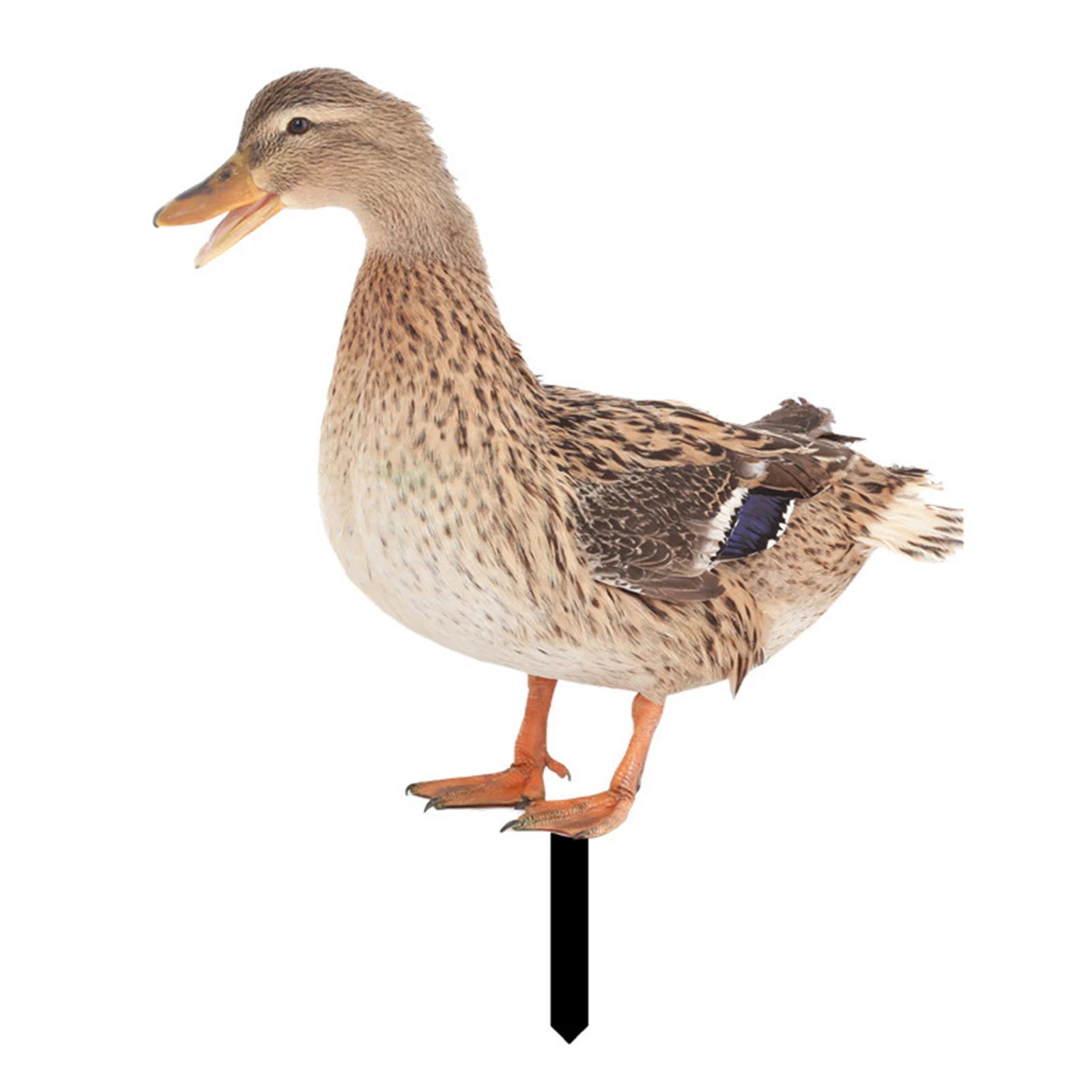 

Acrylic Mirror Garden Statue Animals Figures Statue Decor Animals Stake Duck Farm Flower Pot Garden Decoration