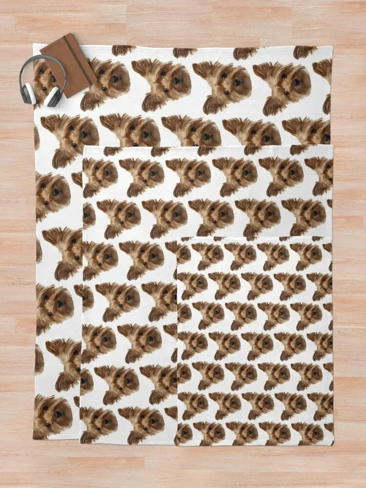 ��ũ�� �׸��� ������ ��� ħ�� Ŀ��, �ٸ��� �ʴ��� ������ �̺� ���