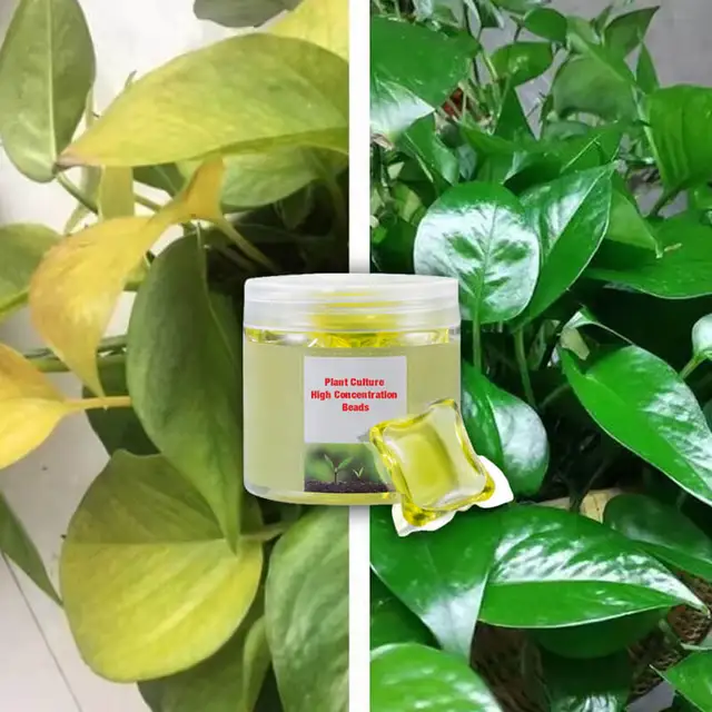Növénytenyészet Tápanyag Folyékony Növényi Növekedés Magas Koncentrációjú Műtrágya Univerzális Vitalitású Elem Virágok Zöldséghez - Image 5