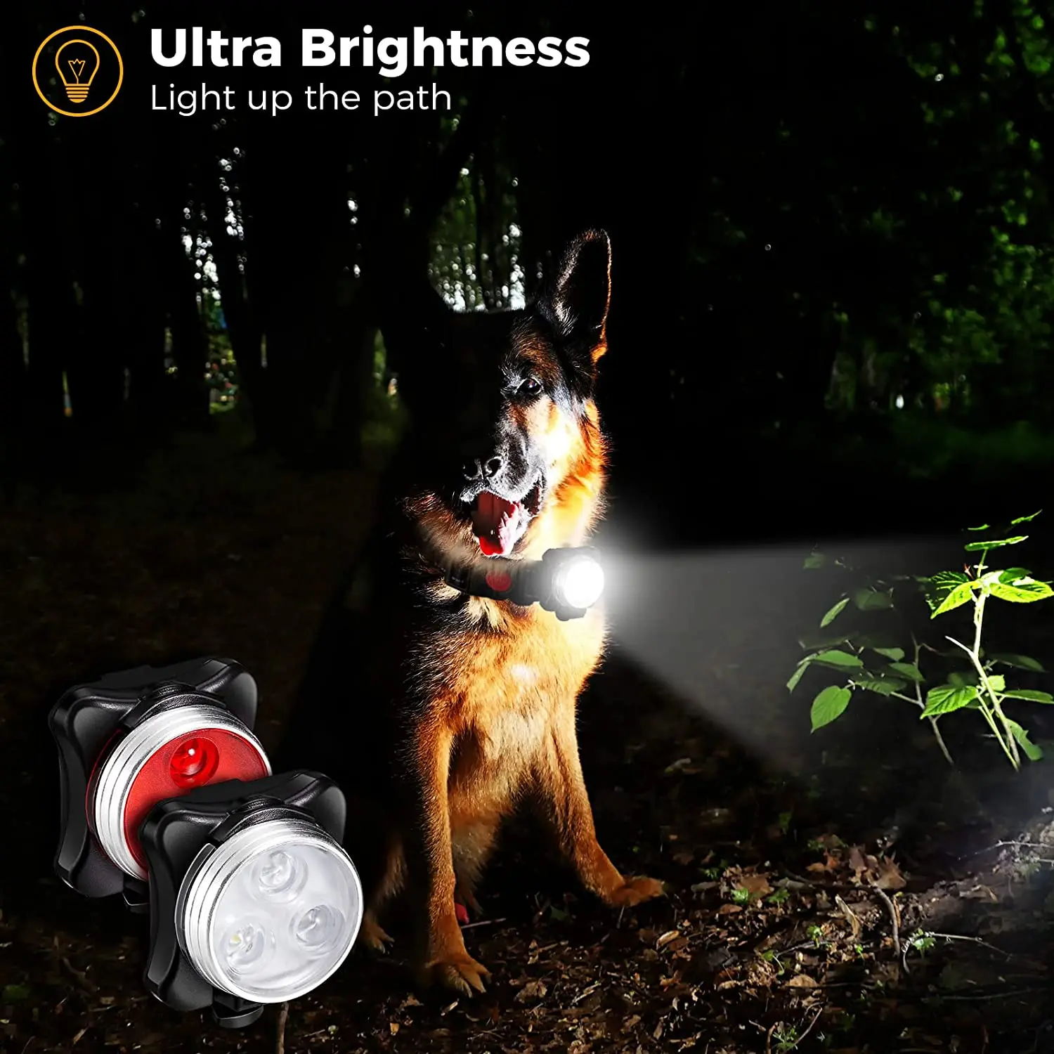 Pet Dog Led Light Lamp Tag Led Dog Collar Light Pendant Glow Night Safety  Led Dogs Flashlight For Collar Harness Leash - AliExpress