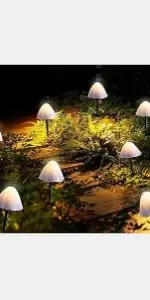  Outdoor Solar Garden Lights