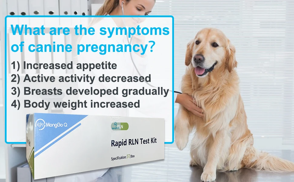 Is There A Pregnancy Test For Dogs