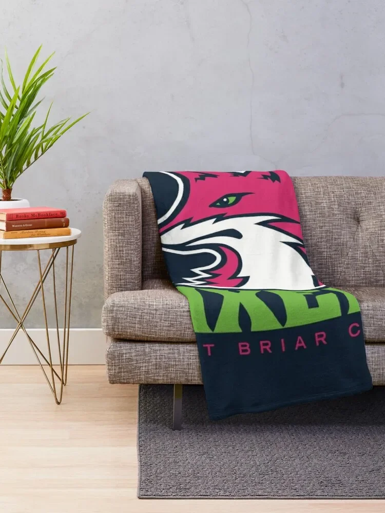 ������ ����̾� ���� ������ ���, ��� ��� �� ���