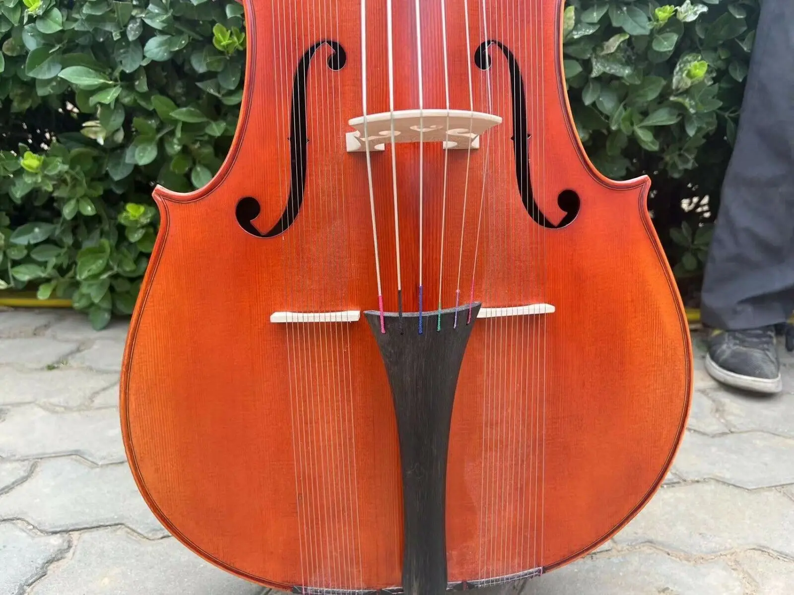 Рисунок 5 - Стандартная коричневая Виолончель-арпегион