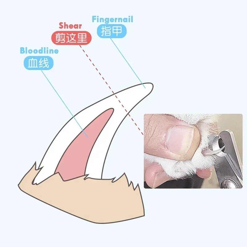 Professional Pet Cat Dog Nail Clipper Cutter Stainless Steel Grooming Scissors Clippers Claw Nail Scissors with Lock pet nail clipper,pet nail scissors