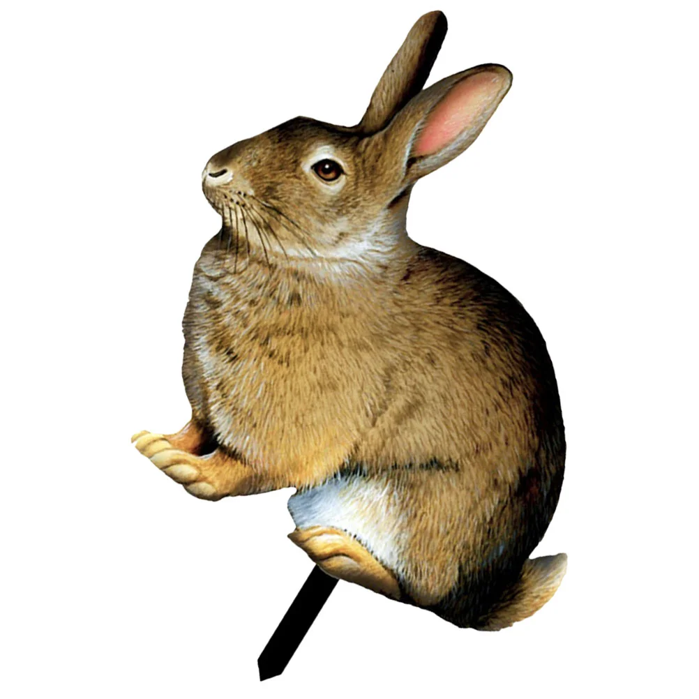 Decorative-Garden-Inserts-Acrylic-Outdoor-Decor-Sign-Animal-Stake-Lawn ...