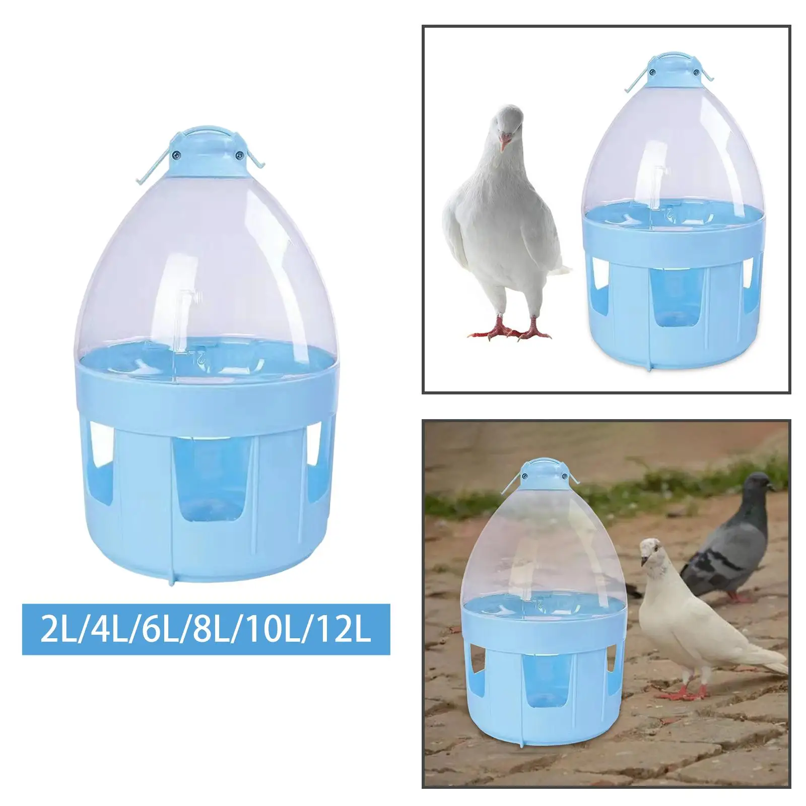 Pigeon Automatic Water Feeder Portable Hanging Dispenser Pet Supplies Pigeon Pigeon Automatic Water Feeder Portable Hanging Dispenser Pet Supplies Pigeon