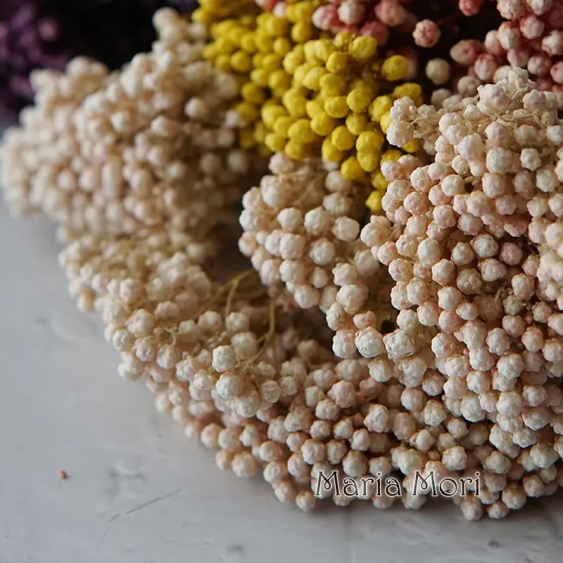 Elegant Preserved Rice Flower for Home and Office Decor – Ideal for DIY Crafts and Handmade Candle Projects
