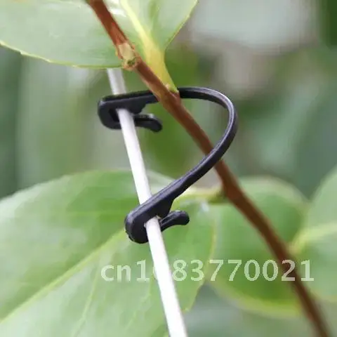 

Plant Plastic Clips Wall Climbing Self-Adhesive Fastener Tied Fixture Vine Buckle Hook Garden Vine Wall Climbing Plant Clips