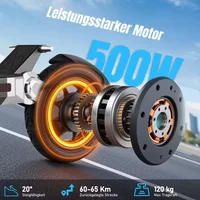 Trottinette électrique TODIMART G2-ZX 10 pouces pour adultes, moteur 500W, 48V 13Ah, autonomie 40-60 km, trottinette électrique pliable avec double freinage, certifiée ABE 2