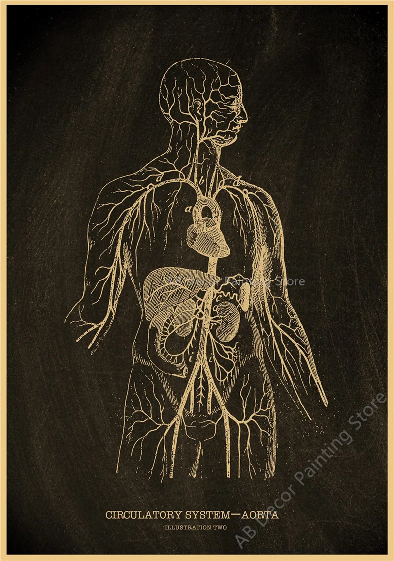Nostalgic Posters Anatomy Chalkboard Poster Prints Body Parts Heart Hand Foot Drawing Vintage Home Room Art Wall Decor Painting Peckshirt