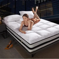 SongKAum 100% White Goose Down/feather Mattresses Thicken Keep warm Tatami High-end Five-star Hotel Mattress King Queen Size 2