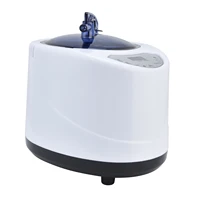 1000W Sauna Steamer Pot Machine Portable Sauna Steam Generator Fumigation Machine for Home Spa 1
