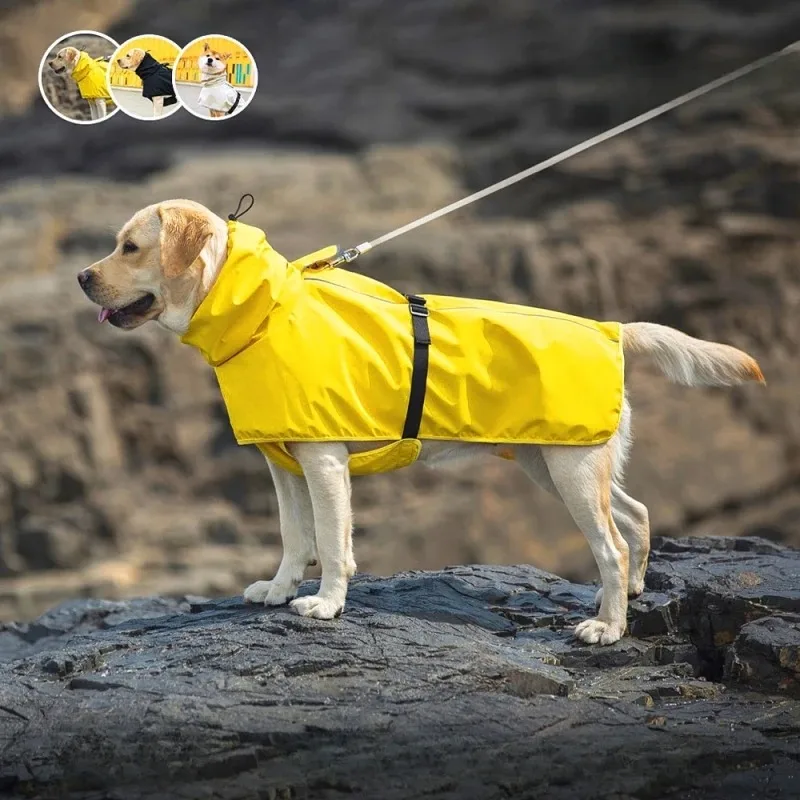 Regenmäntel für hunde