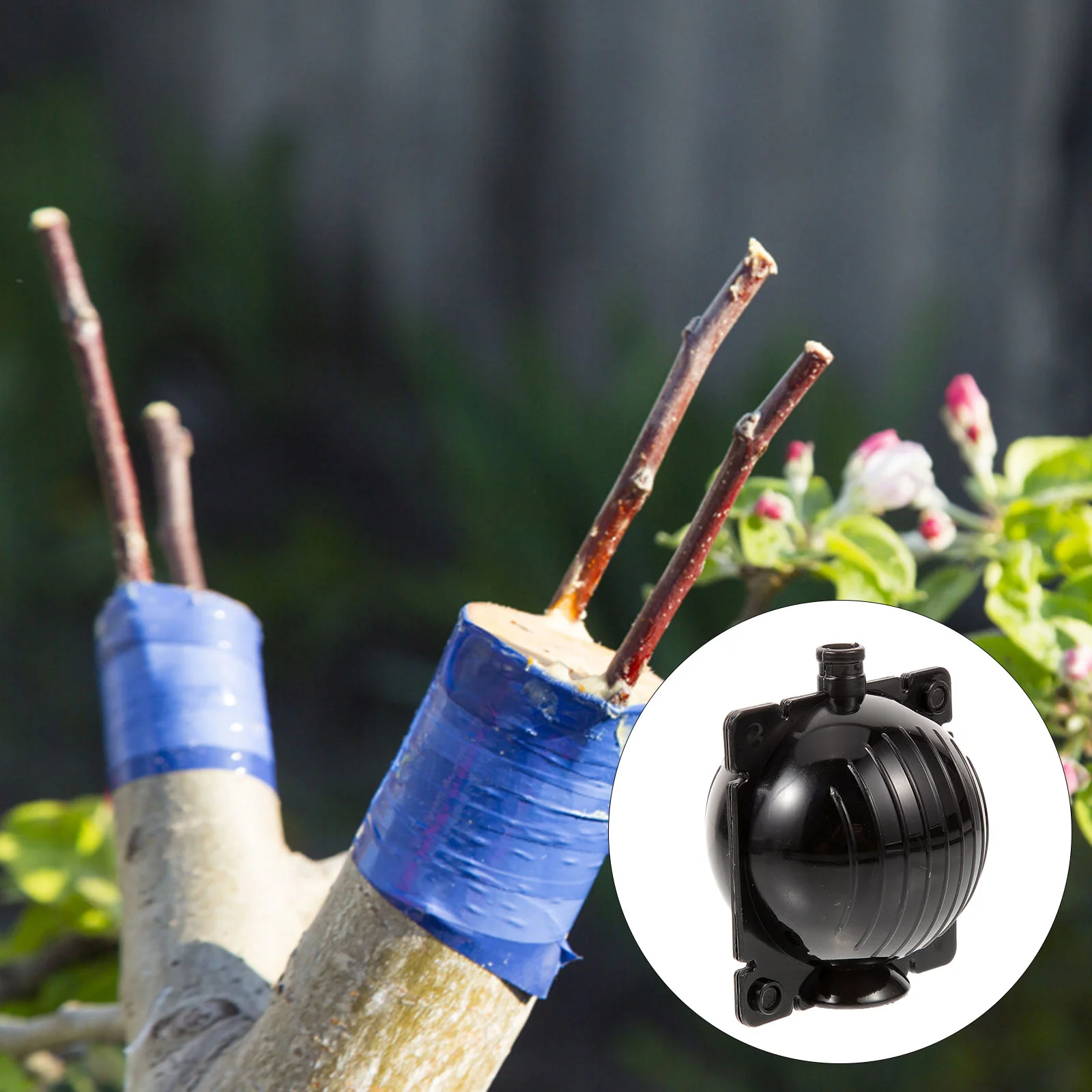 

Tree Root Growing Box and Plant Rooting Ball Grafting Tools Kit for Trees and Flowers