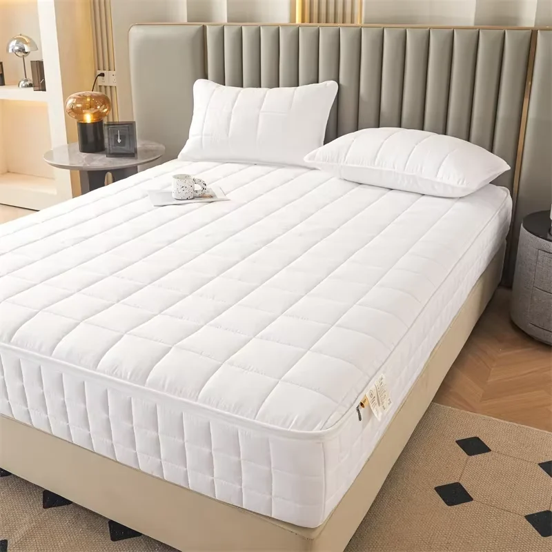 6-Sides Full Enclosed Thicken Fitted Sheet Mattress Cover with Zipper Custom Size Quilted Bed Sheet Anti-mite Mattress Protector 2